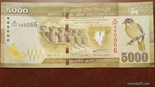 IMG_20220512_2139321