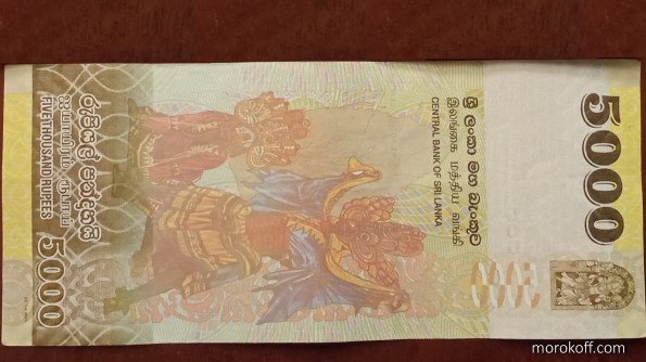 IMG_20220512_2139329