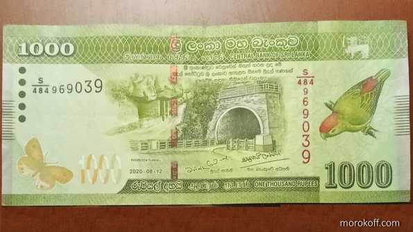 IMG_20220512_2140531