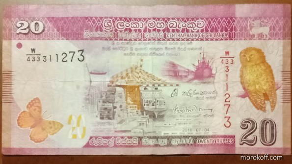 IMG_20220512_2143271