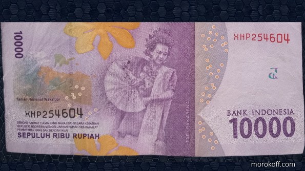 IMG_20221124_1436029